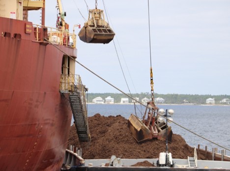 Marine recovery operation